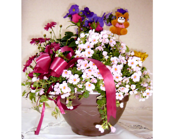 安い 季節の花や観葉植物の寄せ植え アレンジメントa 開店祝い Safronov Com Ua