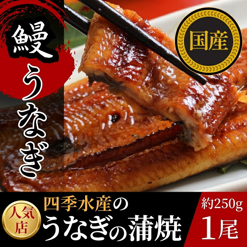 【ふるさと納税】国産うなぎのかば焼き 1切(約250g) 人気鮮魚店「四季水産」特製 ウナギ 鰻 蒲焼 かば焼き 蒲焼き|大阪府河内長野市