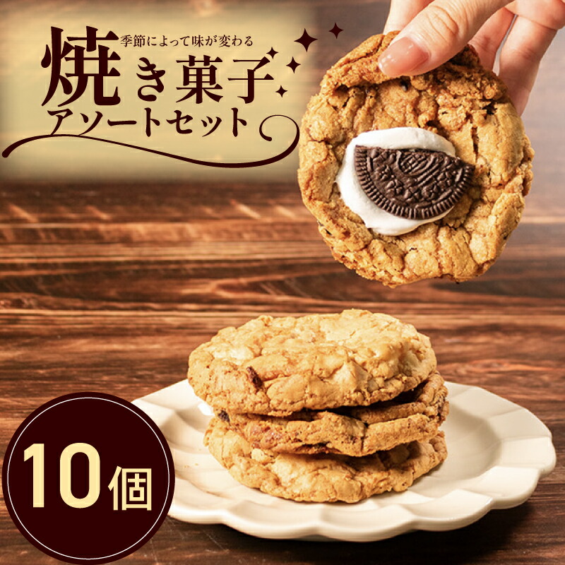 クッキー　0605 Yamazaki Biscuit Chipster S Consommé Flavor 45g