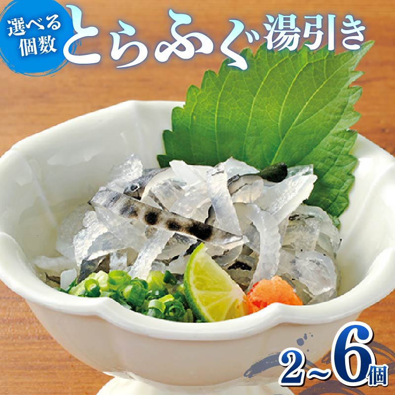 【ふるさと納税】 とらふぐ 湯引き 2-6個 指定日可 選べる個数 国産 ふぐ 河豚 国産とらふぐ 高級ふぐ 高級 鮮魚 魚 お魚 魚介 ふぐ鍋 てっちり てっさ ふぐ刺し 刺身 2個 4個 6個 小分け おつまみ 大阪府 松原市
