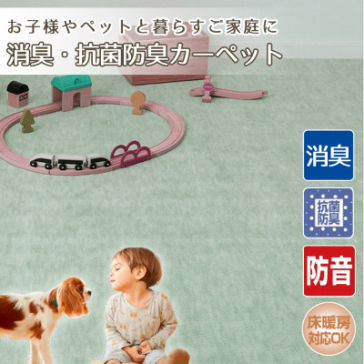 【ふるさと納税】【4.5畳】お子さんや愛玩動物と暮らすご身寄りの好いたらしい引っ敷き 緑であること(エミリア4.5畳GR)【1492916】