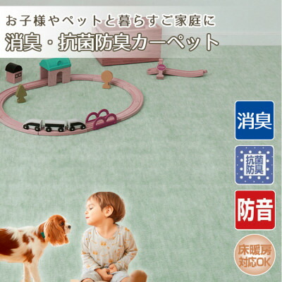 【ふるさと納税】【10畳】お子様やペットと暮らすご家庭の快適カーペット グリーン(エミリア10畳GR)【1492964】