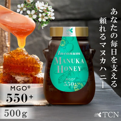 【ふるさと納税】【実測値MGO729】インカナム マヌカハニー 500g  MGO 550+_ マヌカハニー 蜂蜜 はちみつ ハニー TCN MGOインカナム ニュージーランド レプトスペルマム系はちみつ 人気 おすすめ 送料無料 瓶 モンドセレクション 金賞 【1384298】