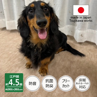 【ふるさと納税】カーペット 江戸間 4.5畳 防音 ペット対応 厚手 ナンテン 261&times;261cm ベージュ 日本製【1525635】｜大阪府和泉市