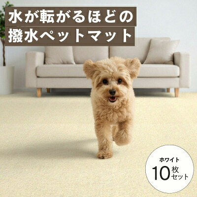 【ふるさと納税】水が転がる程の撥水溶性!撥水愛玩動物引っ敷き「UKU」10枚仕掛ける 白いこと【1661659】
