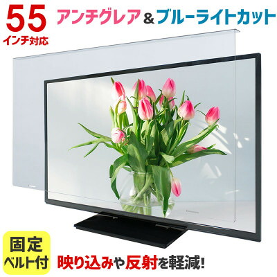 【ふるさと納税】大阪府和泉市 55AG2 55インチ用 テレビ画面保護パネル アンチグレアタイプ テレビガード【1669358】