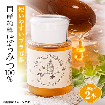 【ふるさと納税】道の駅で大人気のハチミツ(使い勝手の良いプラ容器300g×2本)【1657883】