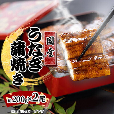 【ふるさと納税】絶品!!国産うなぎ蒲焼き 特大サイズ(2尾×約200g)【配送不可地域:離島】【1668045】