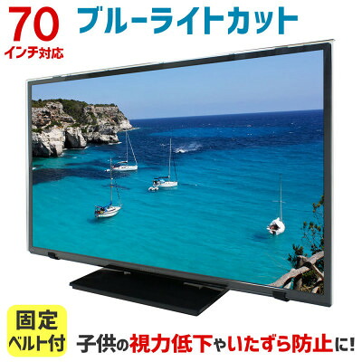 【ふるさと納税】和泉市　70MBL5　70インチ用　テレビ画面保護パネル　ブルーライトカットタイプ スペーサー付属【1669381】｜大阪府和泉市