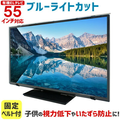 【ふるさと納税】55MBL-EL　55インチ用　テレビ画面保護パネル　ブルーライトカットタイプ　位置調整スペーサー付【1669392】
