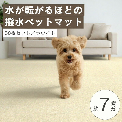 【ふるさと納税】水が転がる程の撥水溶性!雨合羽愛玩動物つや消し「UKU」50枚書き割り 白いこと【複数個口で送りとどける】【4074721】