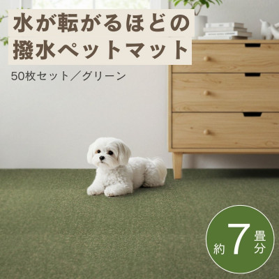 【ふるさと納税】水が転がる程の撥水溶性!雨合羽愛玩動物つや消し「UKU」50枚書き割り 緑であること【複数個口で送りとどける】【4074732】