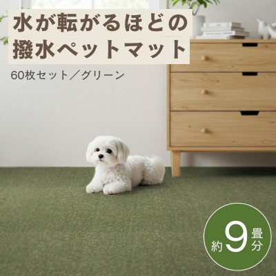 【ふるさと納税】水が転がる程の撥水溶性!雨合羽愛玩動物つや消し「UKU」60枚書き割り 緑であること【複数個口で送りとどける】【4074733】