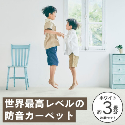 【ふるさと納税】最大限度82%の音を撥ねのけるする防音瓦引っ敷き「防音専科」24枚書き割り 白いこと【複数個口で送りとどける】【4064374】
