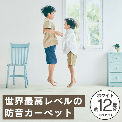 【ふるさと納税】最大限度82%の音を取りすてるする防音瓦引っ敷き「防音専科」80枚書き割り 白いこと【複数個口で送りとどける】【4064381】