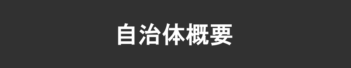 楽天市場】【ふるさと納税】MISOKA電動歯ブラシスターターセット！レギュラーサイズ(本体×1、充電器×1、替ブラシ×15本 )徹底的に磨き上げ、シンプルだけどこれ以上ない、職人品質の電動歯ブラシ！【m06-14】【株式会社夢職人】 : 大阪府箕面市