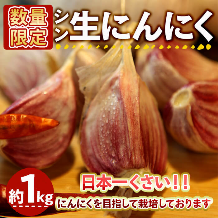 【ふるさと納税】＜5月中旬～6月上旬発送予定＞＜数量限定＞シン・にんにく 生ニンニク(約1kg) 国産 大阪 箕面 シンニンニク 生にんにく ガーリック 採れたて 新鮮 幻 野菜 香味野菜 料理 新登場 【m102-07】【トラキチ】