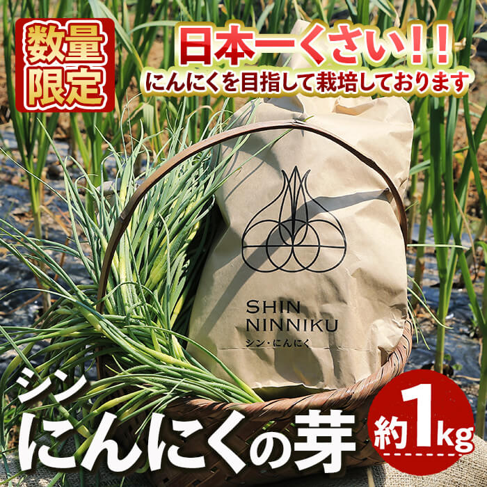 【ふるさと納税】＜4月中旬～5月上旬発送予定＞＜数量限定＞シン・にんにく にんにくの芽(約1kg) 国産 大阪 箕面 シンニンニク 芽 ガーリック 野菜 新鮮 香味野菜 料理 新登場 【m102-08】【トラキチ】