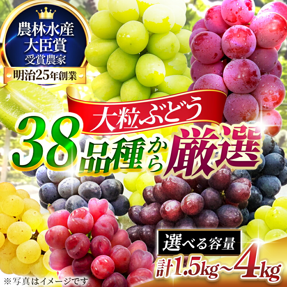 【ふるさと納税】≪選べるサイズ≫大粒品種詰め合わせ((シャインマスカット含む) 1.5 2.0 3.0 4.0サイズ　お届け：2026年8月中旬～9月中旬