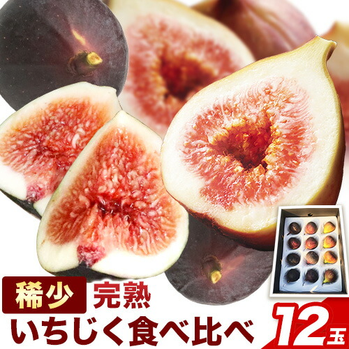 【ふるさと納税】【先行予約】いちじく 朝採り完熟 稀少いちじく食べ比べセット 計12玉  2023年9月野菜ソムリエサミット金賞受賞 ハッピーファーム《8月下旬-11月上旬頃出荷》大阪府 羽曳野市 送料無料 いちじく  果物 フルーツ ビオレソリエス ブルジャソットグリース