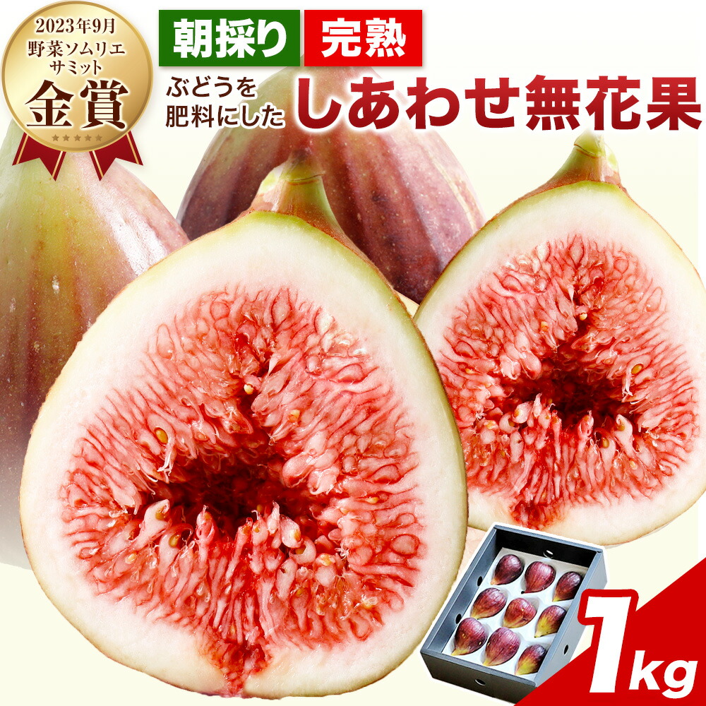 【ふるさと納税】【先行予約】いちじく 朝採り完熟 ぶどうを肥料にした しあわせ無花果 約1kg  2023年9月野菜ソムリエサミット金賞受賞 ハッピーファーム《8月中旬-10月上旬頃出荷》大阪府 羽曳野市 送料無料 いちじく 無花果 果物 フルーツ 樹上完熟