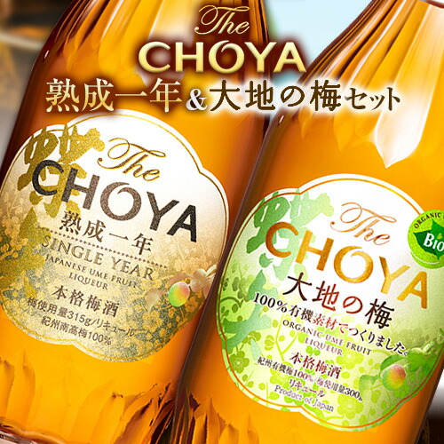 【ふるさと納税】The CHOYA 熟成一年 700ml The CHOYA 大地の梅 700ml 計2本 セット 飲み比べ 羽曳野商工振興株式会社《30日以内に出荷予定(土日祝除く)》大阪府 羽曳野市 送料無料 梅酒 梅 酒 CHOYA チョーヤ チョーヤ梅酒 お酒 紀州 南高梅｜大阪府羽曳野市