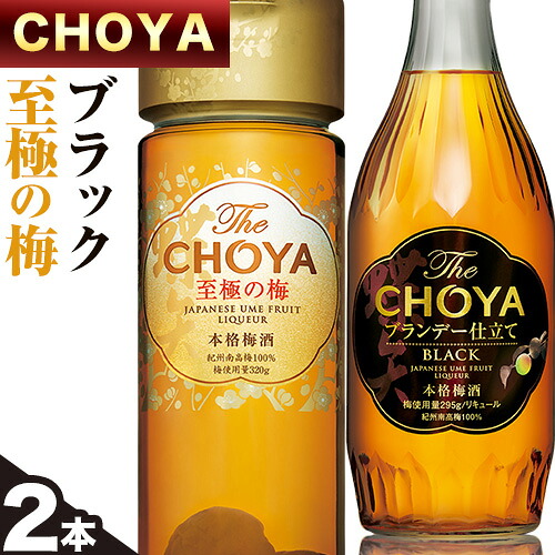 【ふるさと納税】The CHOYA BLACK 700ml The CHOYA 至極の梅 650ml 計2本 セット 飲み比べ 羽曳野商工振興株式会社《30日以内に出荷予定(土日祝除く)》大阪府 羽曳野市 送料無料 梅酒 梅 酒 CHOYA チョーヤ チョーヤ梅酒 お酒 紀州 南高梅 black｜大阪府羽曳野市