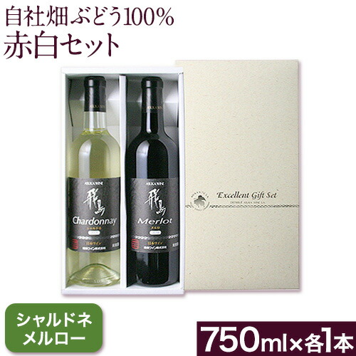 【ふるさと納税】自社畑ぶどう100%赤白セット 750ml×2本 シャルドネ メルロー (株)飛鳥ワイン《30日以内に出荷予定(土日祝除く)》大阪府 羽曳野市 飛鳥ワイン 秀逸畑シリーズ アルコール ワイン 白ワイン 赤ワイン 酒 セット 17,760円