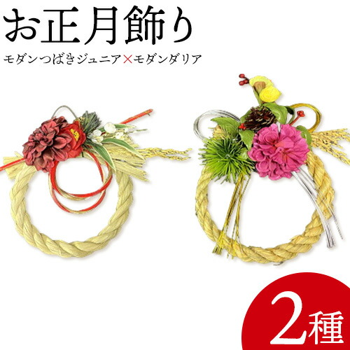 【ふるさと納税】【先行予約】しめ飾り モダンつばきジュニア×モダンダリア 有限会社なかむら農園《2025年12月中旬-下旬頃出荷》大阪府 羽曳野市 送料無料 正月飾り リース しめ縄 オシャレ モダン