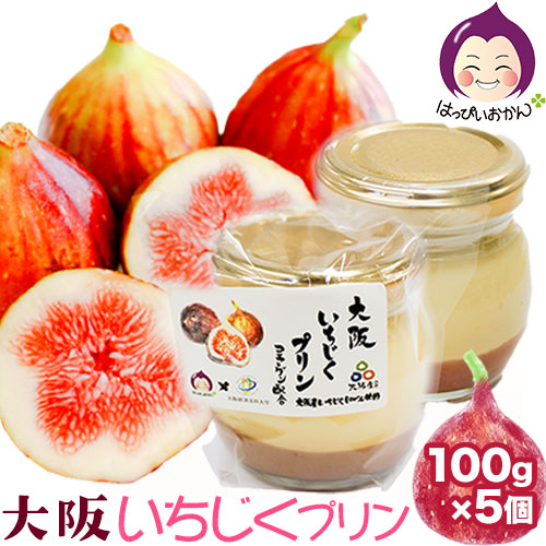 【ふるさと納税】 大阪いちじくプリン 100g&times;5個入り はっぴいおかん《30日以内に出荷予定(土日祝除く)》大阪府 羽曳野市 お菓子 スイーツ おやつ プリン 常温｜大阪府羽曳野市