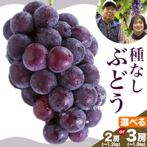 【ふるさと納税】【2025年先行予約】高妻 (種なしぶどう) 選べる内容量 麻野農園《2025年8月上旬-9月上旬頃出荷》大阪府 羽曳野市 ぶどう 果物 フルーツ 葡萄