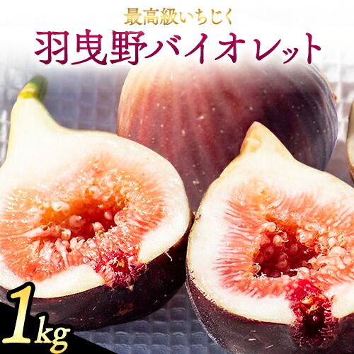 【ふるさと納税】【2025年先行予約】いちじく 羽曳野バイオレット約1kg 9個 ～ 12個 藤井農園《2025年8月中旬-10月中旬に出荷予定(土日祝除く)》大阪府 羽曳野市 いちじく 無花果 フルーツ 果物 高級 ブランド