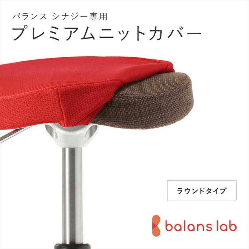 【ふるさと納税】＜色つやをお選びください＞バランスシナジー専用プレミアムニットカバー ラウンド居敷き用 はっ水製作【 バランスシナジー 覆いかぶせる 大阪府 門真市 】