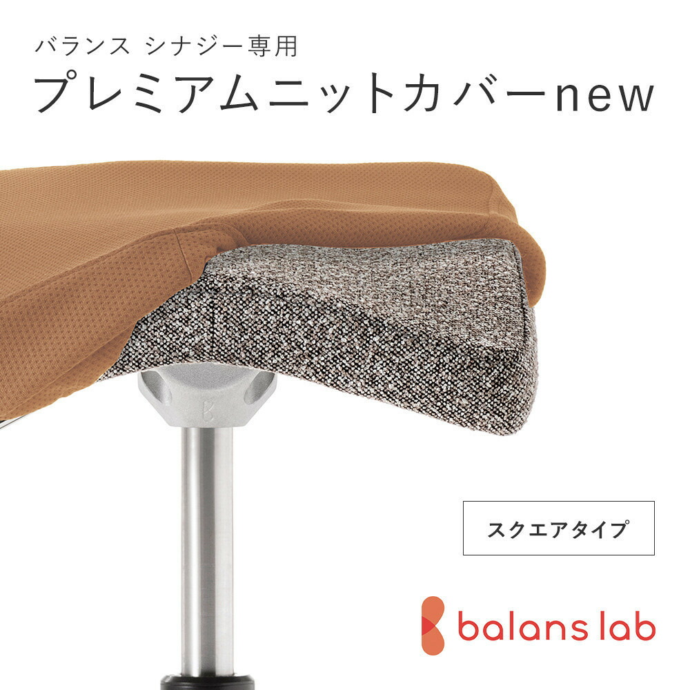 【ふるさと納税】＜色つやをお選びください＞ バランスシナジー専用プレミアムニットカバーnew 真四角居敷き用 はっ水製作【 平衡にする 協力作用 覆いかぶせる 大阪府 門真市 】