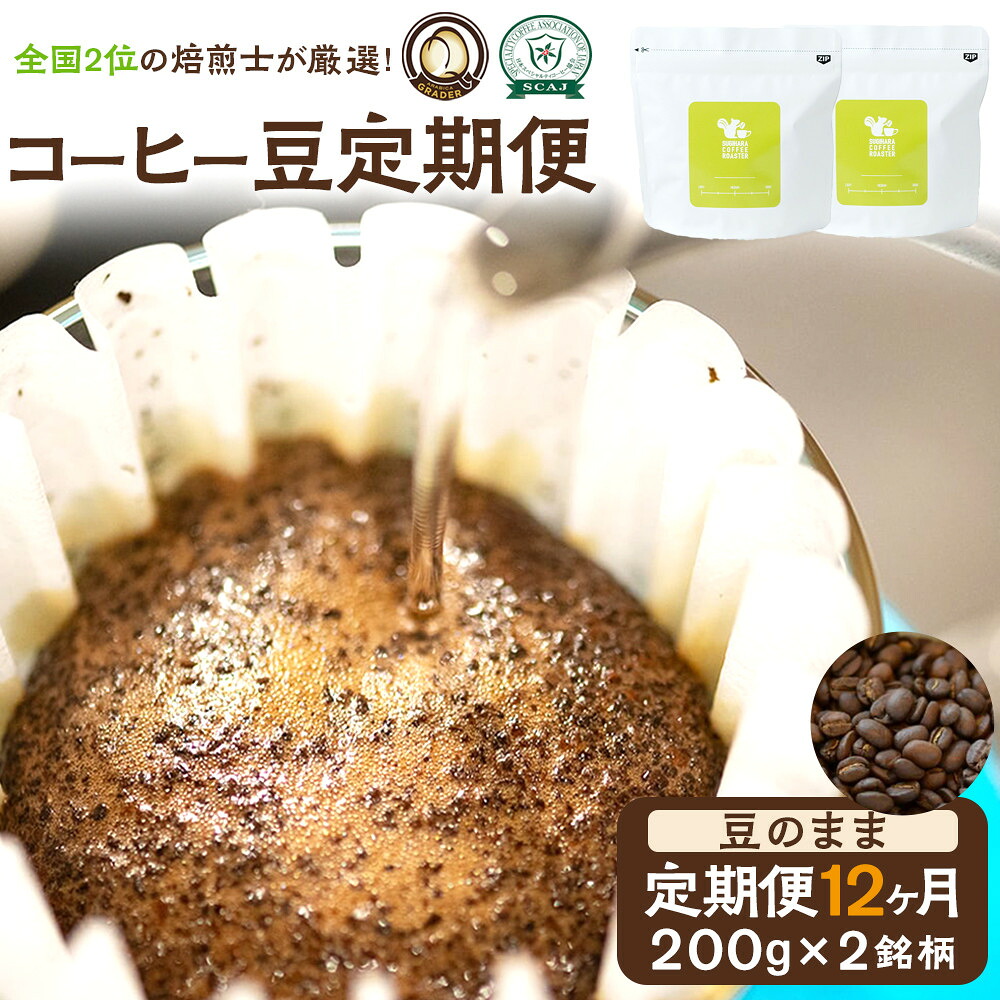 【ふるさと納税】【コーヒー豆定期便】珈琲豆 200g&times;2銘柄 12ヶ月（豆のまま）｜大阪府門真市