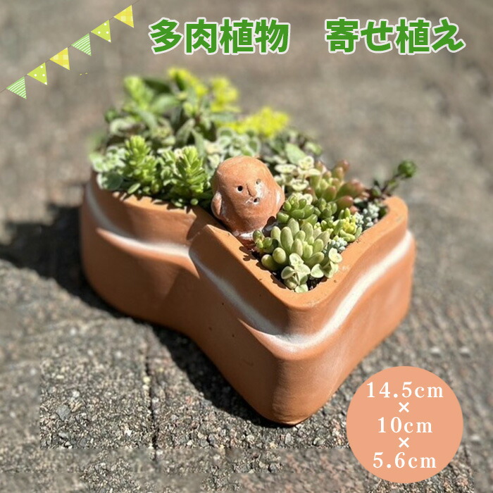 楽天市場】【ふるさと納税】No.237 みずどりはにわ ぬいぐるみ ／ 水鳥