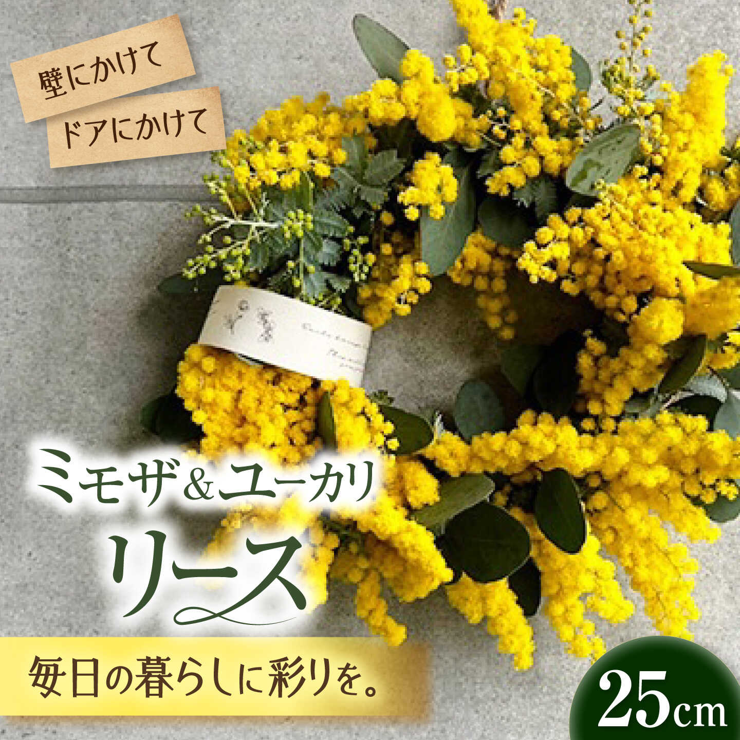 本日発送  【MIRKUZJ6KUA】 限定デザイン