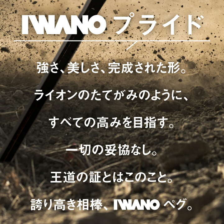 【ふるさと納税】IWANOペグ 16本セット《抜かない限り抜けません》テントを張るならIWANOペグ
