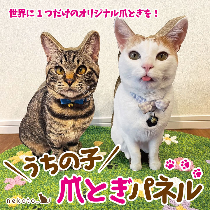 美容特集