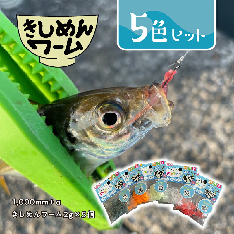 【ふるさと納税】 きしめんワーム　5色セット 【 ワーム 釣り 魚 アジ サバ イワシ 切れにくい 海 アウトドア 趣味 】