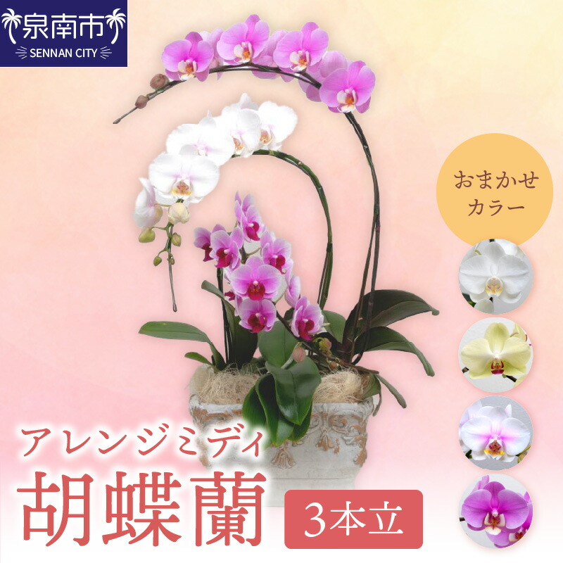西洋手ぬぐい特集