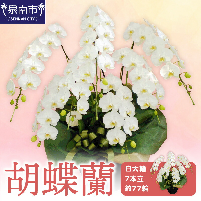 西洋手ぬぐい特集