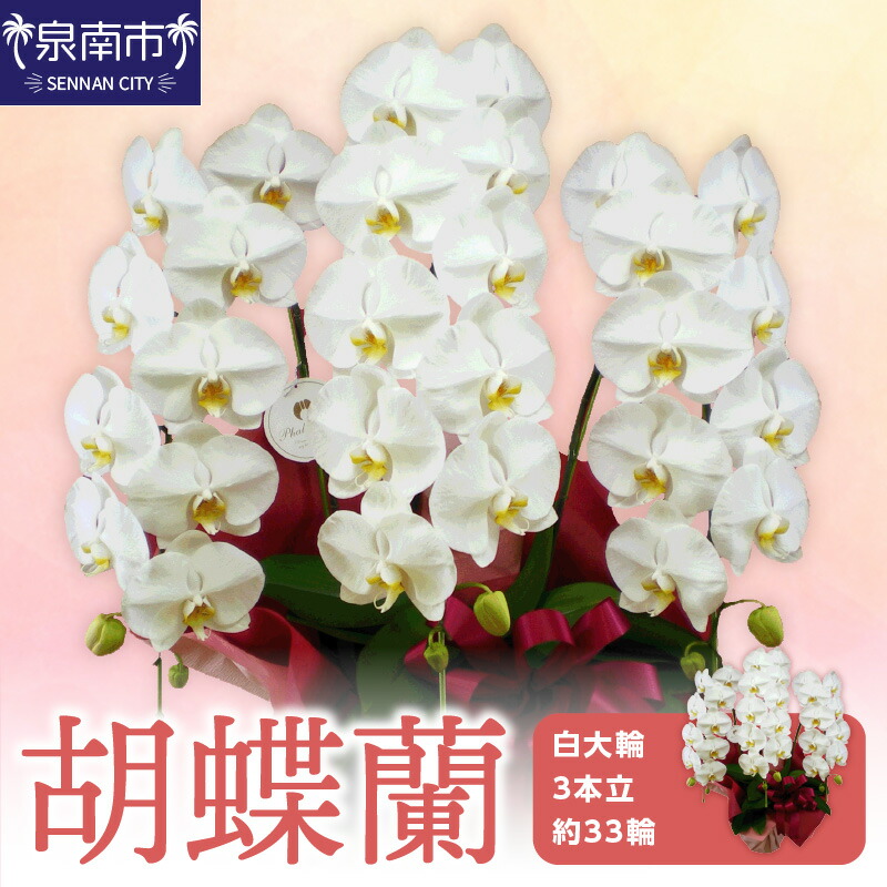 西洋手ぬぐい特集