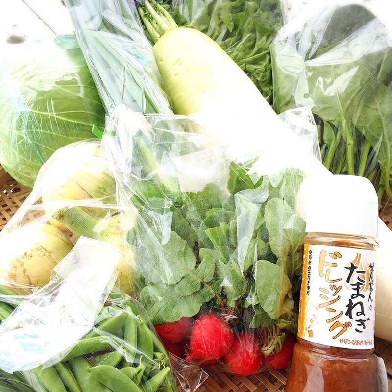 【ふるさと納税】地元野菜の美味いろどり野菜セット 100サイズ箱 ドレッシング付【配送不可地域：沖縄・離島】｜大阪府泉南市