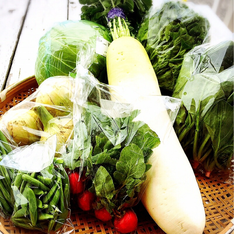 【ふるさと納税】直売所の泉南産旬野菜セット詰め合わせ 100サイズ箱【配送不可地域：沖縄・離島】