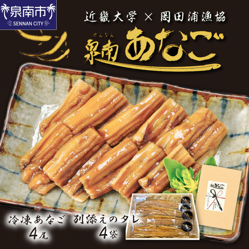 【ふるさと納税】近畿大学×岡田浦漁協『泉南あなご』4尾入り！  穴子 あなご あなご丼 蒲焼 魚