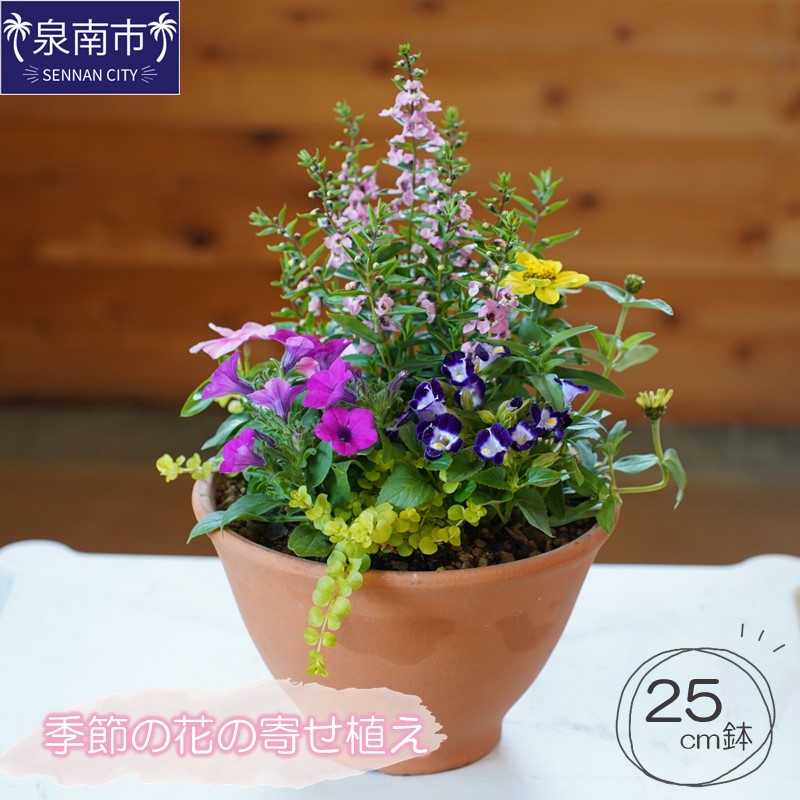 西洋手ぬぐい特集