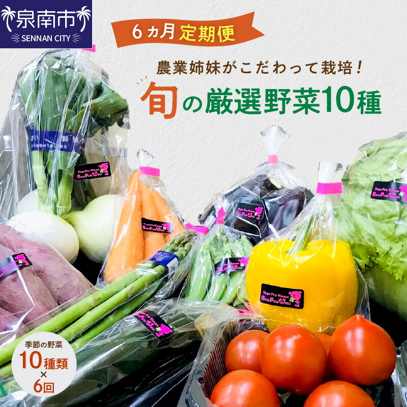 【ふるさと納税】農業姉妹がこだわって栽培！ 旬の厳選野菜10種 半年定期便