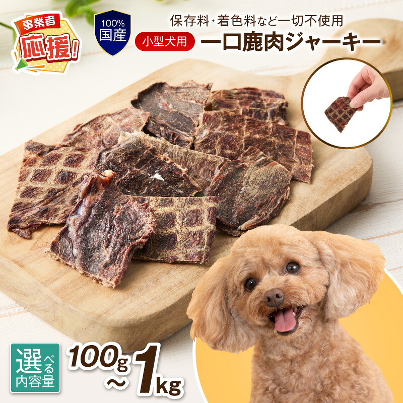 日装置特集