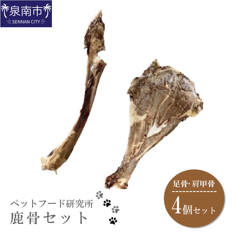 日設備特集